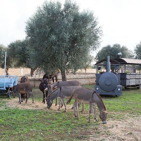Masseria Grande Taurisano Екстер'єр фото